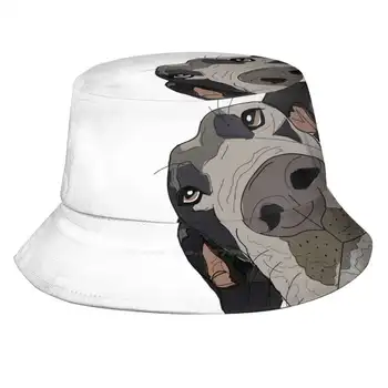 Büyük Dane Yüzünüzde Köpek Unisex Balıkçı Şapka Kova Şapka Köpekler Yavru Yavru Kroki Çerçeveli Sanat Ev Büyük Dane Köpek İçin