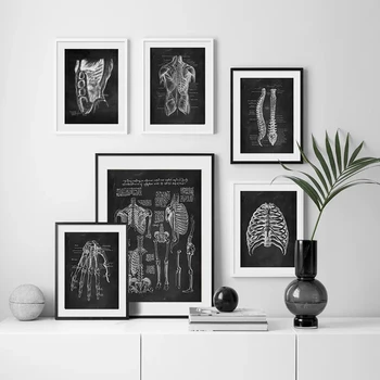 Modern İnsan Anatomik Yapısı Şematik Diyagramı Tıbbi Organ İskelet Kası Yapısı Duvar Tablosu Tüm Vücut Anatomisi Posteri