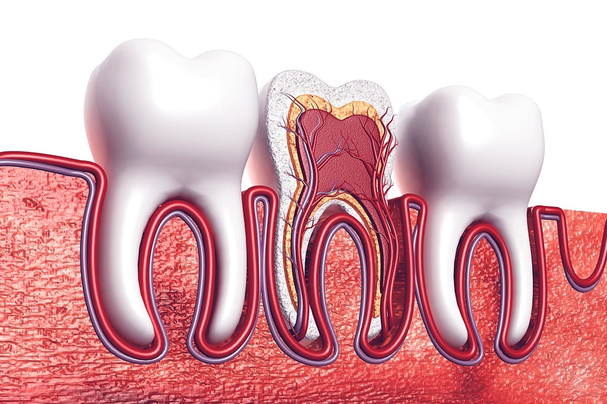 ENDODONTİ (KÖK-KANAL TEDAVİSİ)